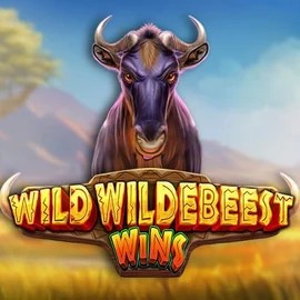Try Wild Wildebeest Wins slot by Pragmatic Play on princess-casino.eu – logo image